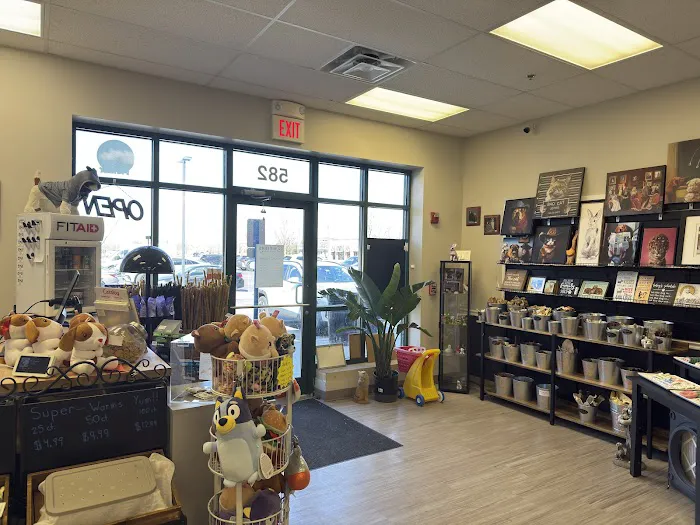 Critters Pet Shop Picture 8