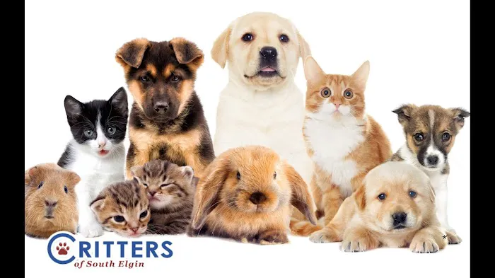Critters Pet Shop Picture 1