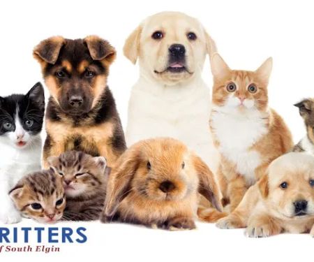 Critters Pet Shop