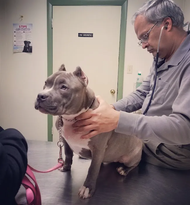 Waterford Animal Hospital Picture 9