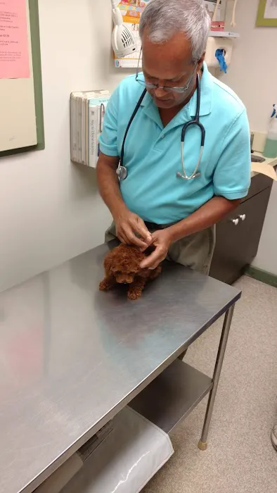Waterford Animal Hospital Picture 7