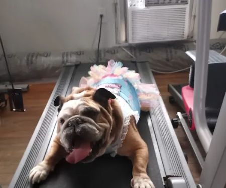 Waterford Animal Hospital
