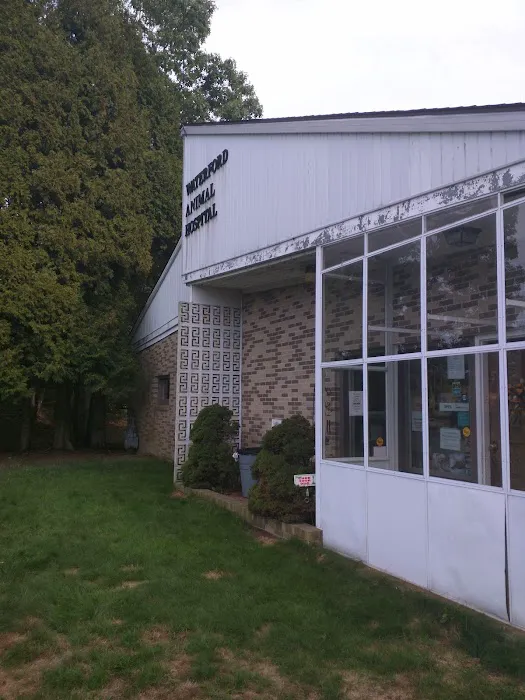 Waterford Animal Hospital Picture 6
