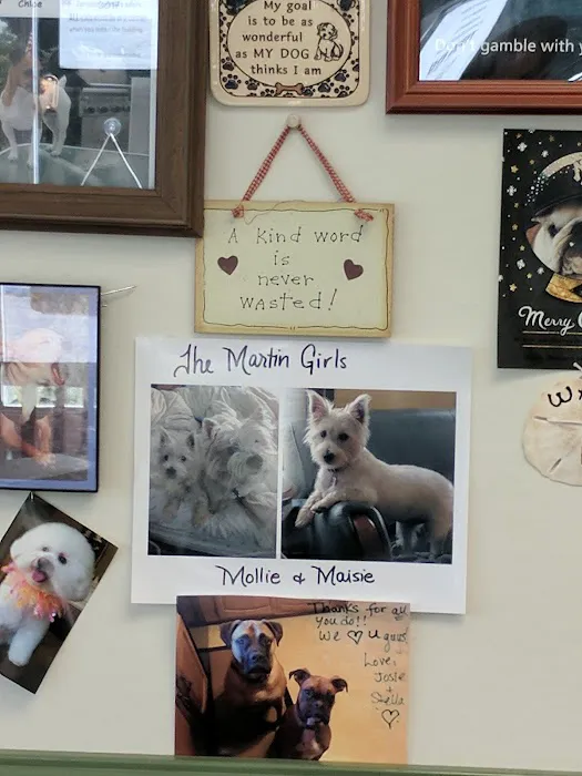 Waterford Animal Hospital Picture 8