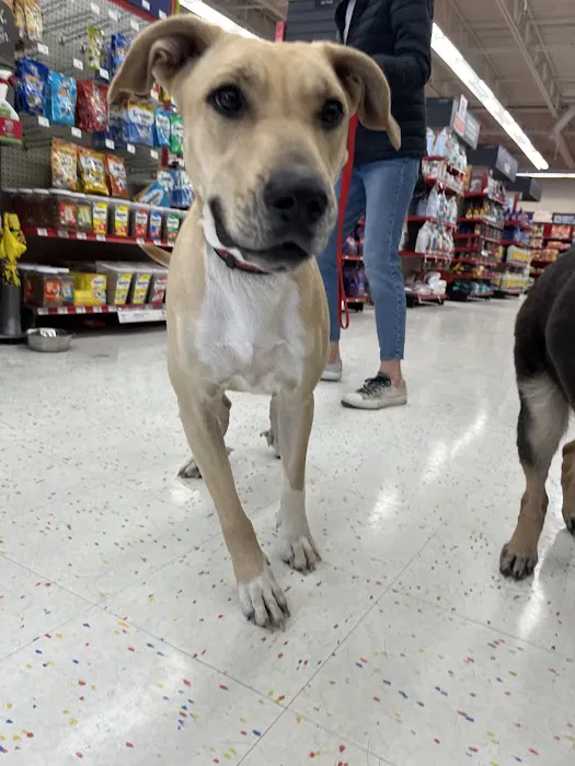 Petco Picture 8