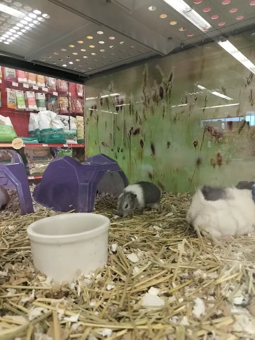 Petco Picture 1