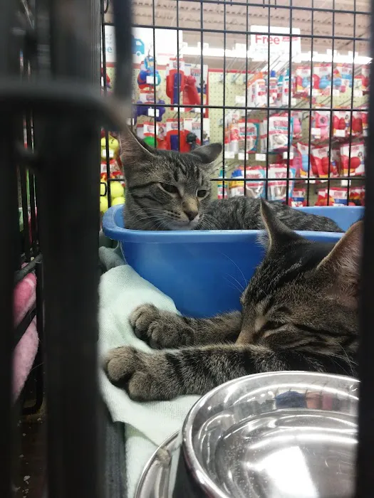 Petco Picture 7
