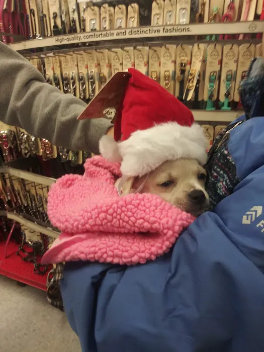 Petco Picture 1