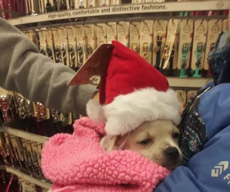 Petco