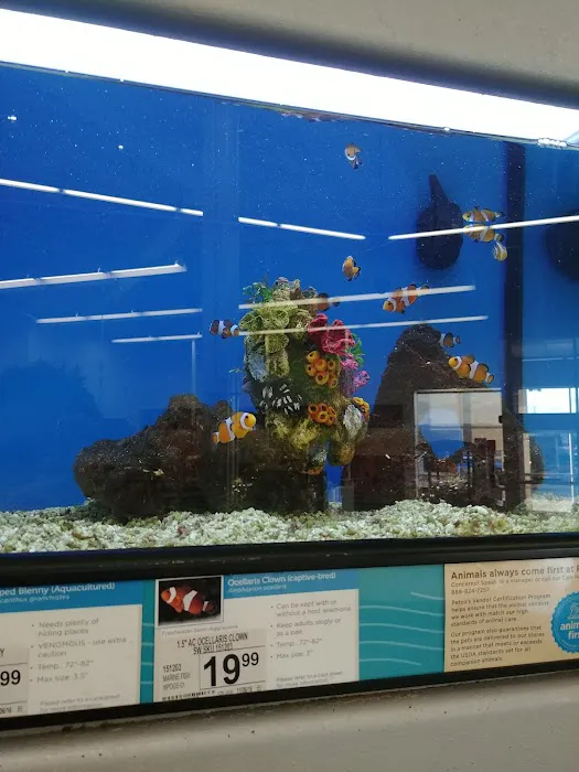 Petco Picture 2