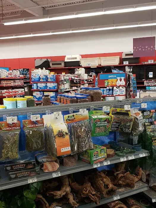 Petco Picture 3