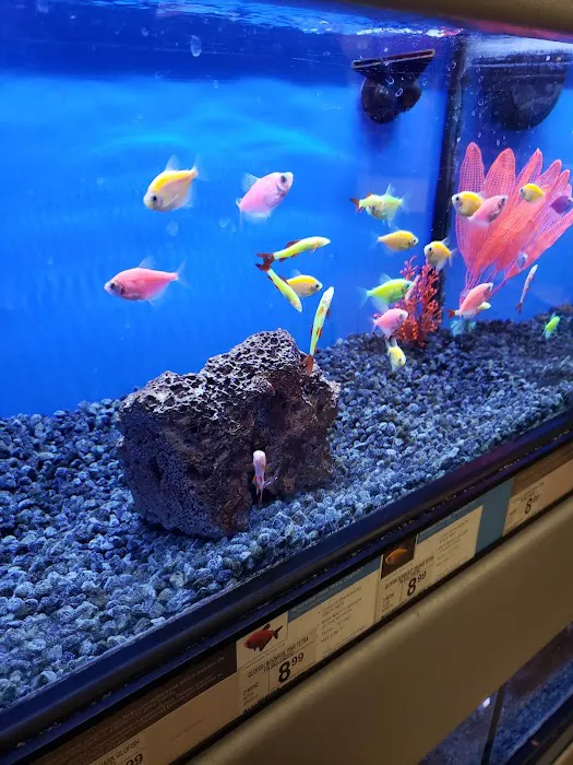 Petco Picture 4