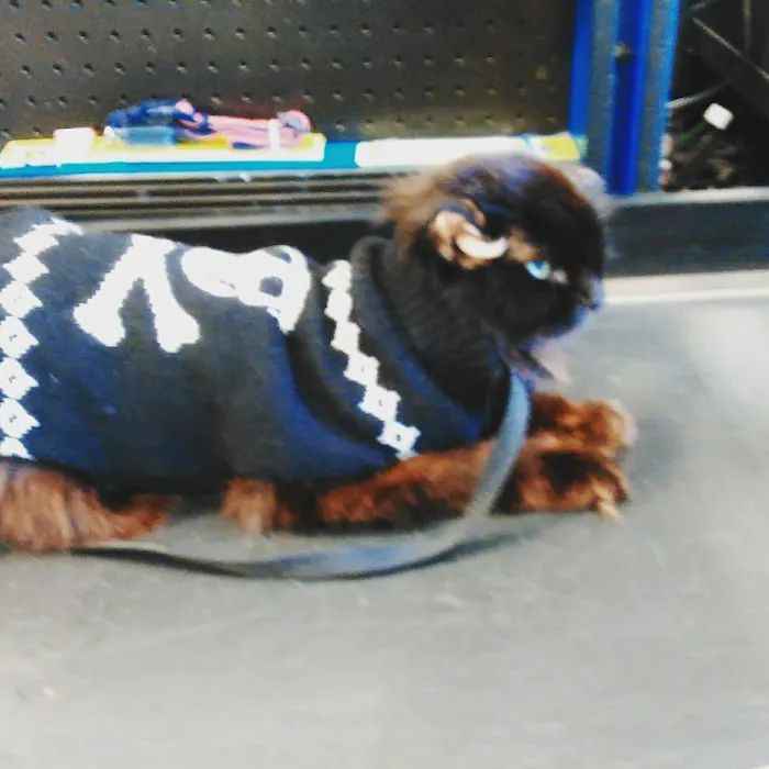 Petco Picture 10