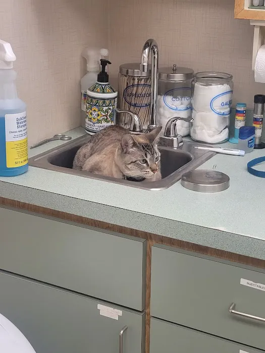 Companion Animal Hospital Picture 1