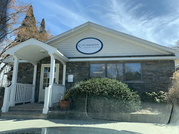 Companion Animal Hospital Picture 10