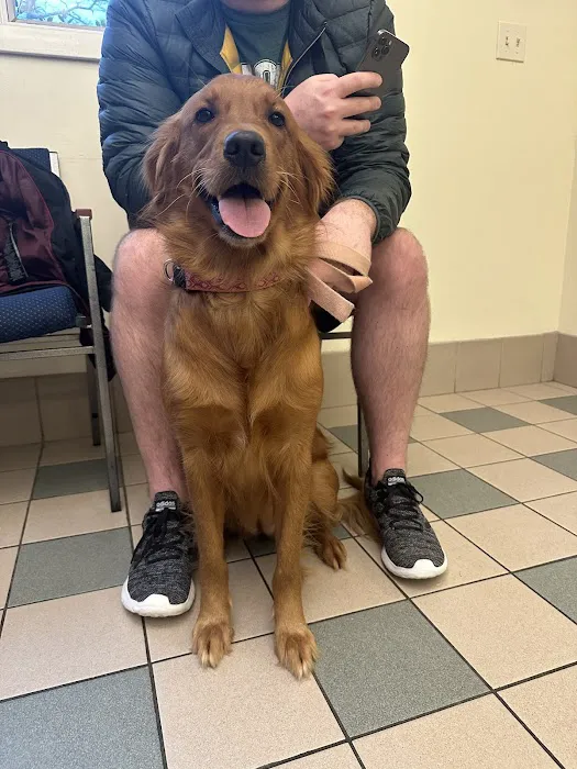 Companion Animal Hospital Picture 6