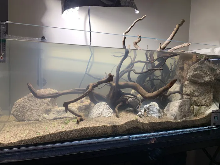 SR Aquaristik Picture 7