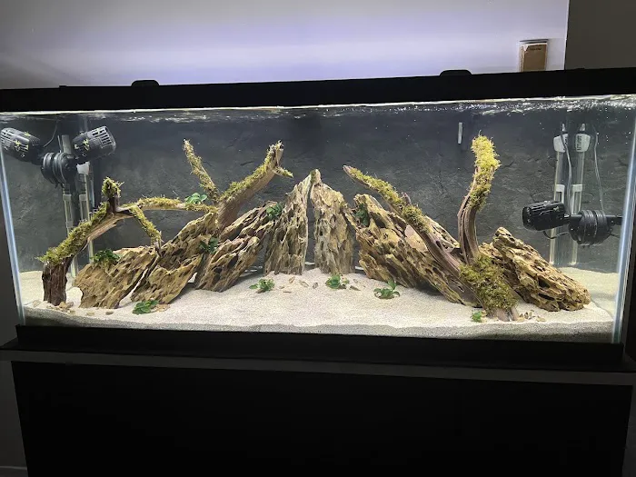 SR Aquaristik Picture 10