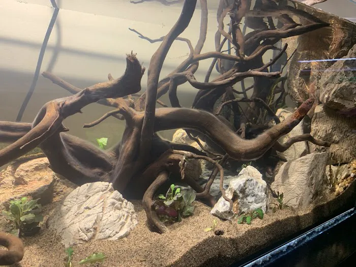 SR Aquaristik Picture 6