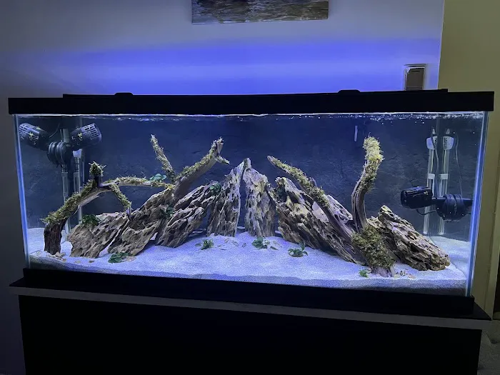 SR Aquaristik Picture 9
