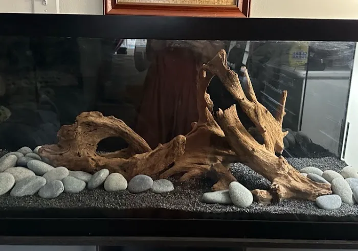 SR Aquaristik Picture 8