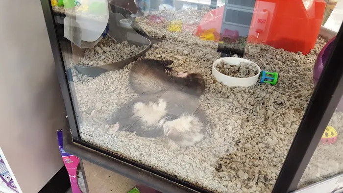 Petco Picture 9