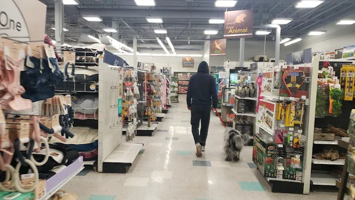 Petco Picture 2