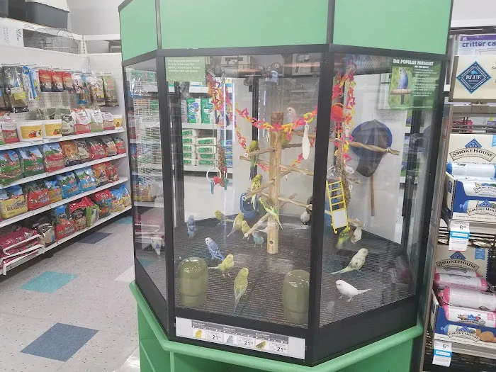 Petco Picture 3