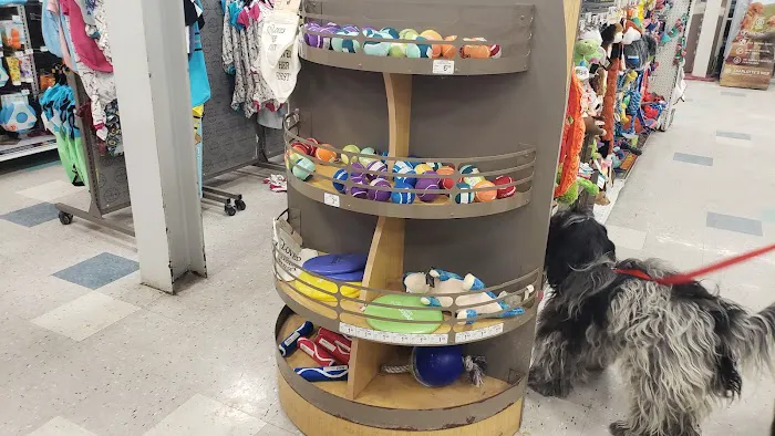 Petco Picture 7