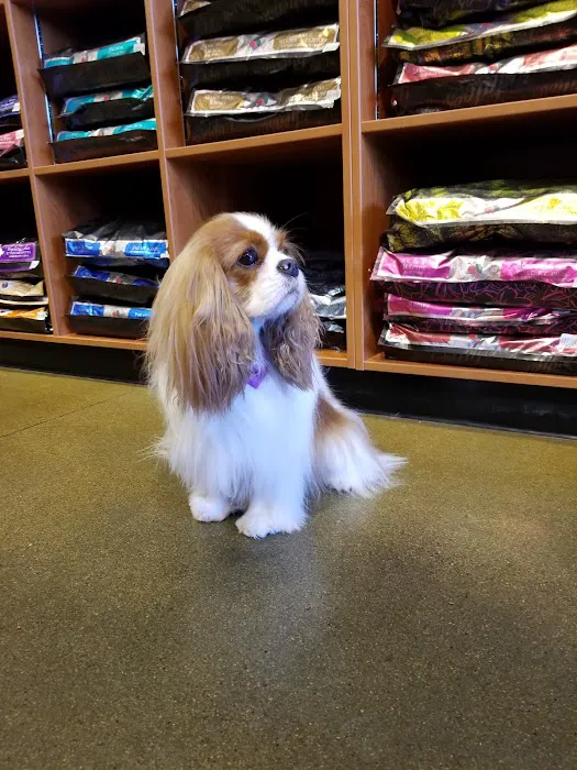 Kriser's Natural Pet Picture 8