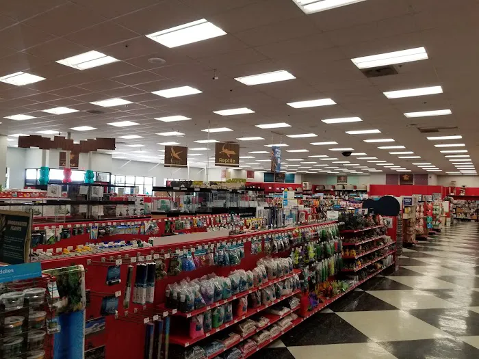 Petco Picture 7