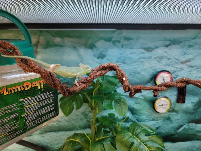 Petco Picture 1