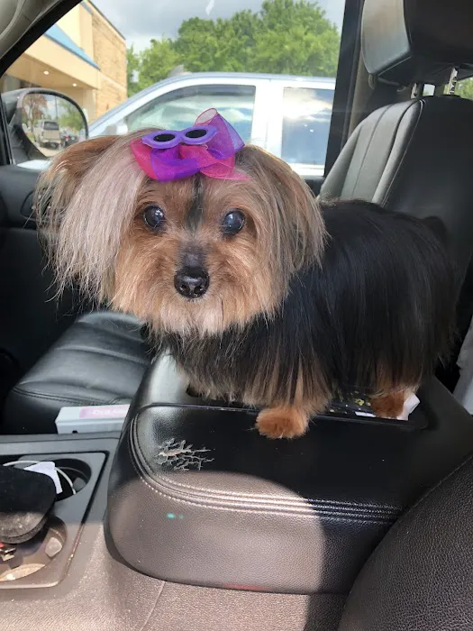 Petco Picture 4