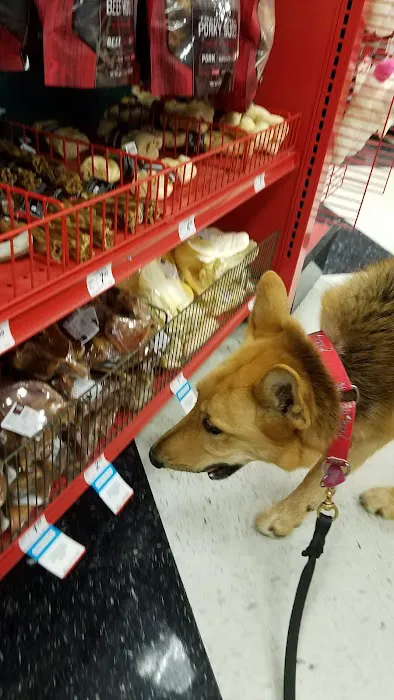Petco Picture 3