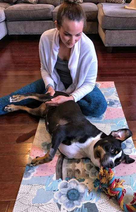 Holistic Pet Wellness Picture 4
