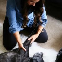 Holistic Pet Wellness ico