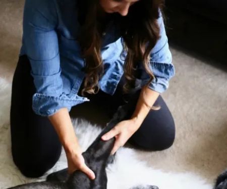 Holistic Pet Wellness