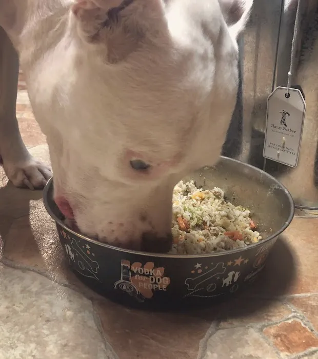 Holistic Pet Wellness Picture 9