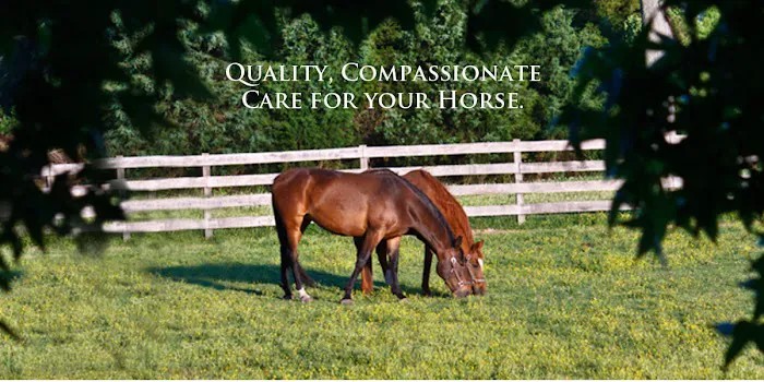 Twin Pines Equine Vet Services Picture 4