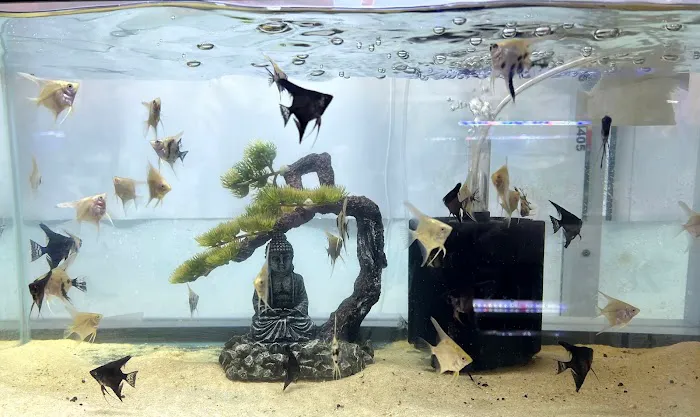 Fish Island Picture 2
