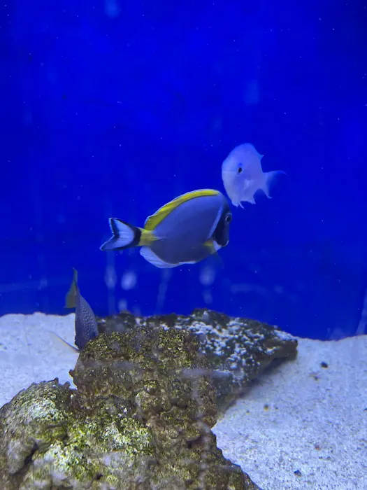 Fish Island Picture 4