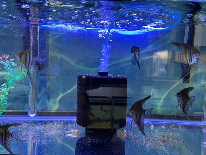 Fish Island Picture 10