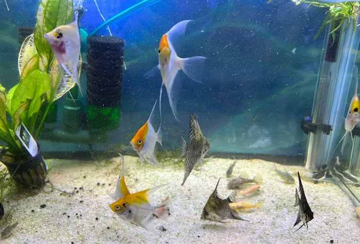 Fish Island Picture 6