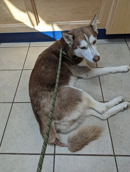 Noank-Mystic Veterinary Hospital Picture 3