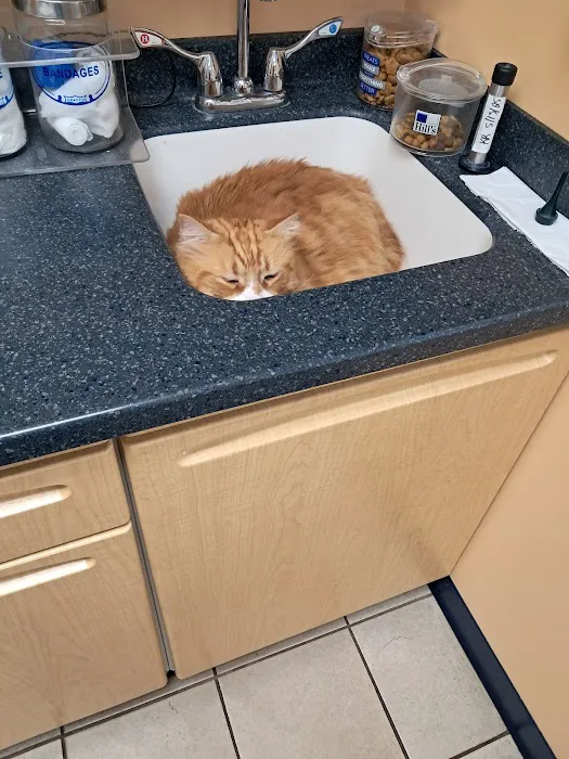 Noank-Mystic Veterinary Hospital Picture 5