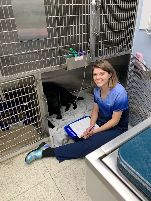 Noank-Mystic Veterinary Hospital Picture 7