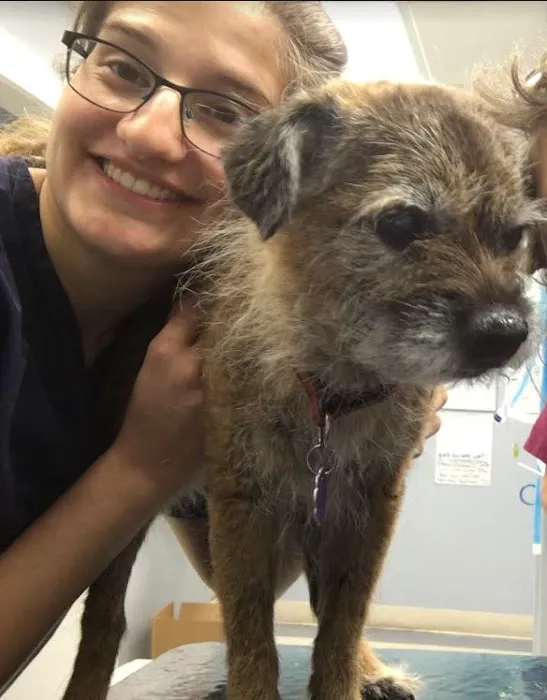 Noank-Mystic Veterinary Hospital Picture 9