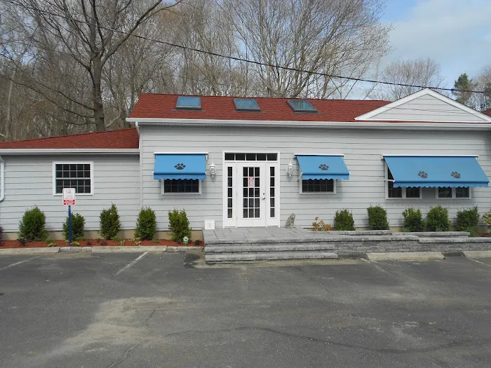Noank-Mystic Veterinary Hospital Picture 1
