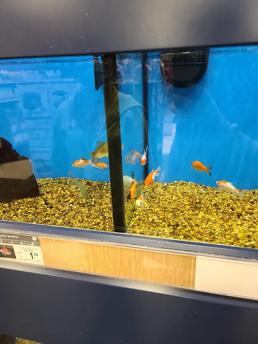 Petco Picture 10
