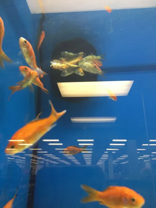 Petco Picture 1